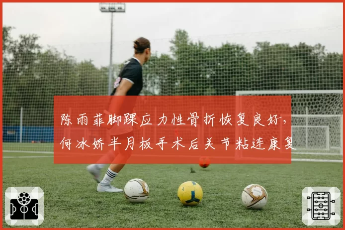 陈雨菲脚踝应力性骨折恢复良好,何冰娇半月板手术后关节粘连康复缓慢